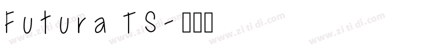 Futura TS字体转换